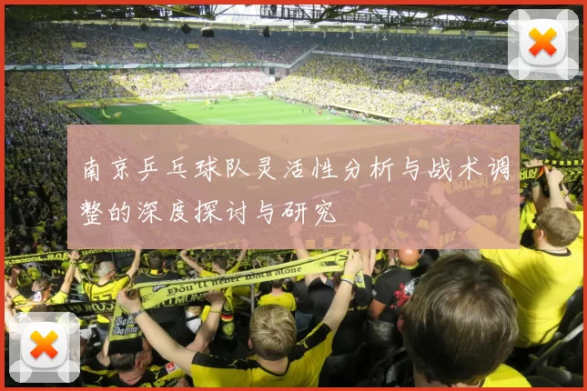 南京乒乓球队灵活性分析与战术调整的深度探讨与研究