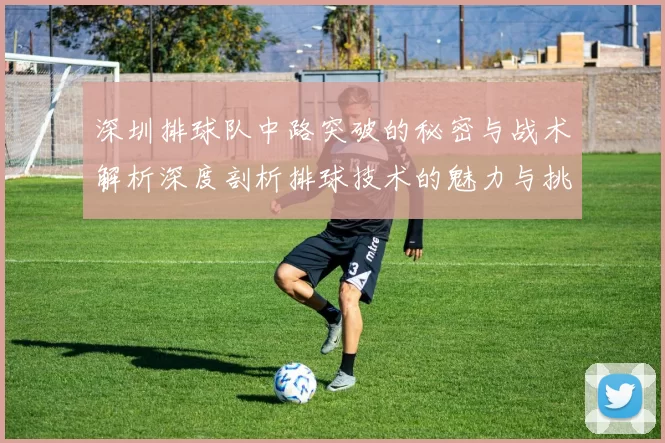深圳排球队中路突破的秘密与战术解析深度剖析排球技术的魅力与挑战