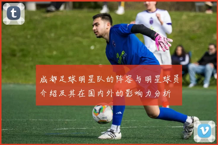 成都足球明星队的阵容与明星球员介绍及其在国内外的影响力分析