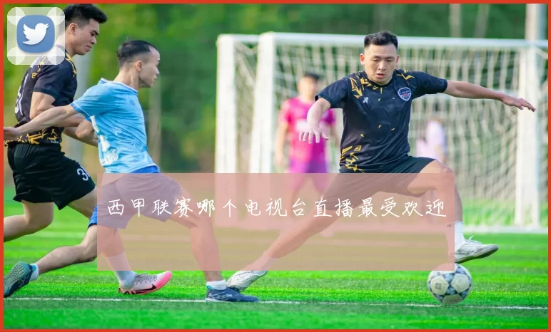 西甲联赛哪个电视台直播最受欢迎