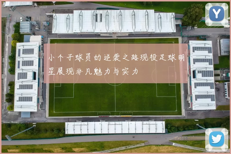 小个子球员的逆袭之路现役足球明星展现非凡魅力与实力