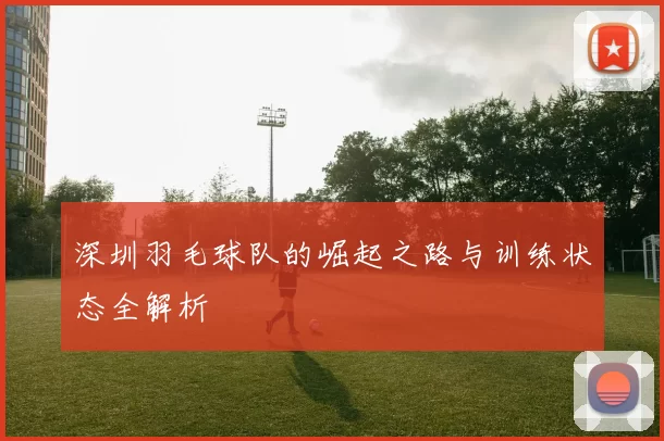 深圳羽毛球队的崛起之路与训练状态全解析