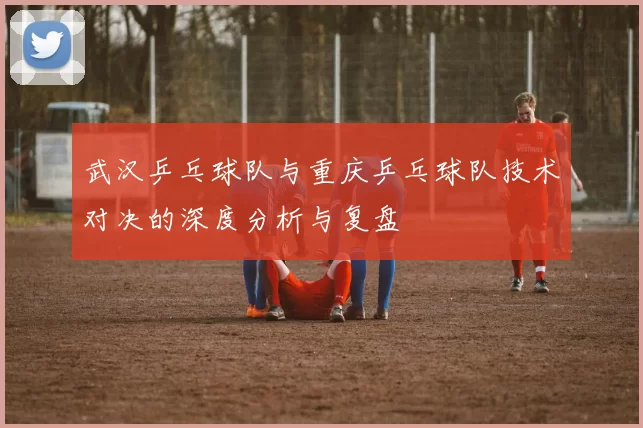 武汉乒乓球队与重庆乒乓球队技术对决的深度分析与复盘
