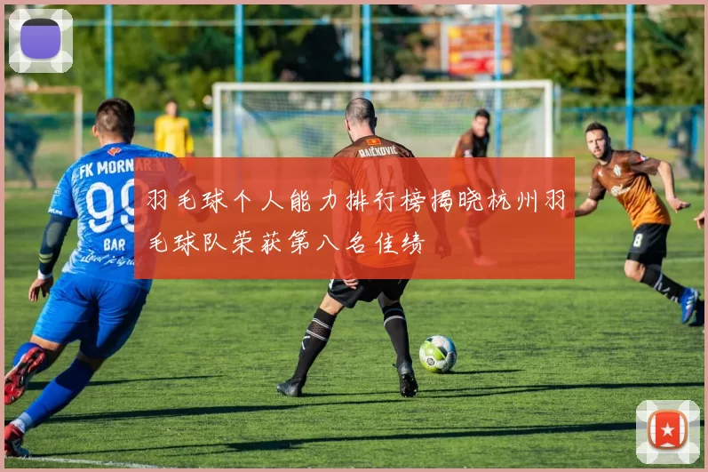 羽毛球个人能力排行榜揭晓杭州羽毛球队荣获第八名佳绩