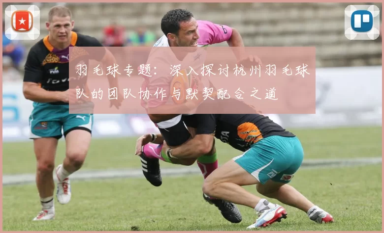 羽毛球专题：深入探讨杭州羽毛球队的团队协作与默契配合之道