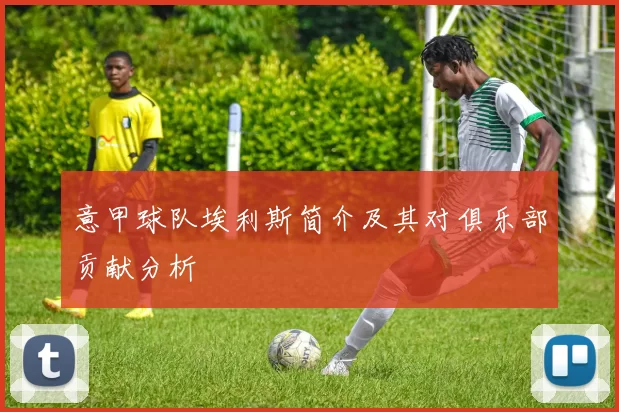 意甲球队埃利斯简介及其对俱乐部贡献分析