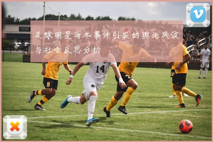 足球明星海冬事件引发的舆论风波与社会反思分析