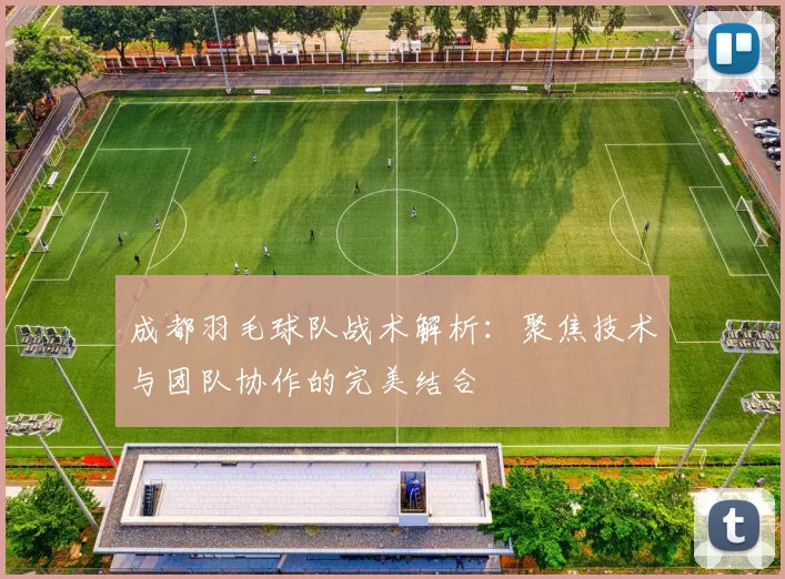 成都羽毛球队战术解析：聚焦技术与团队协作的完美结合