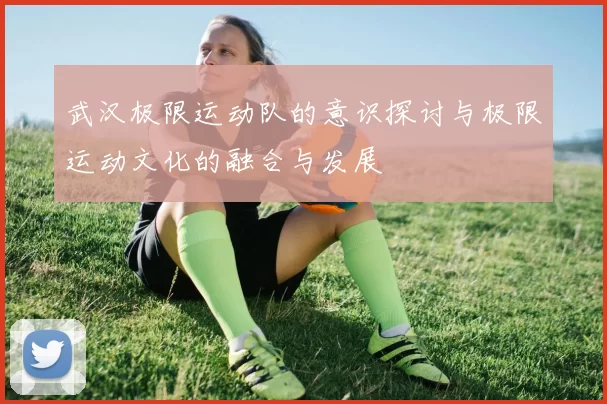 武汉极限运动队的意识探讨与极限运动文化的融合与发展