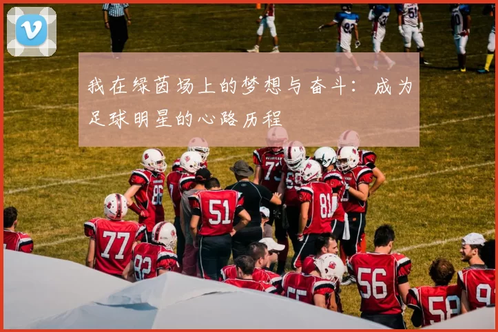 我在绿茵场上的梦想与奋斗：成为足球明星的心路历程