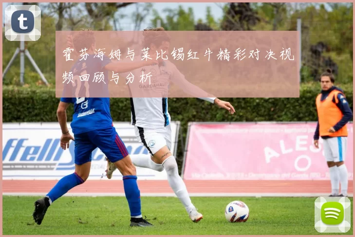 霍芬海姆与莱比锡红牛精彩对决视频回顾与分析