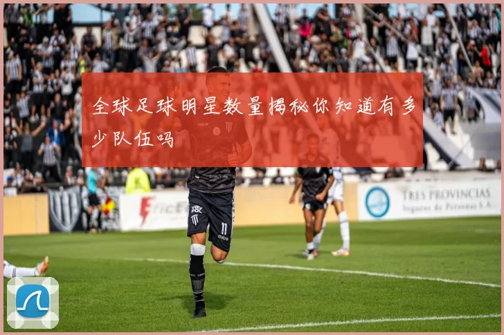 全球足球明星数量揭秘你知道有多少队伍吗