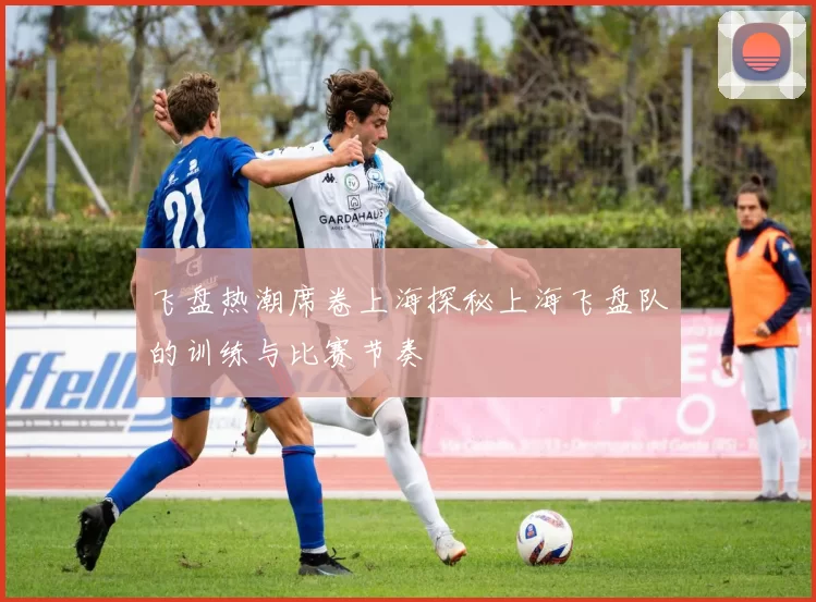 飞盘热潮席卷上海探秘上海飞盘队的训练与比赛节奏