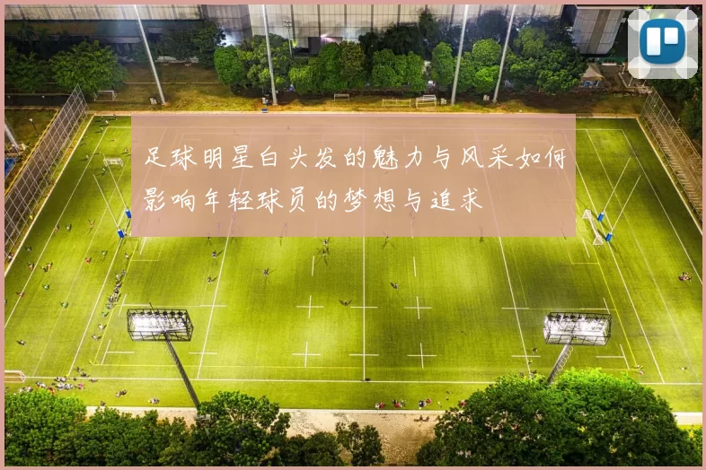 足球明星白头发的魅力与风采如何影响年轻球员的梦想与追求