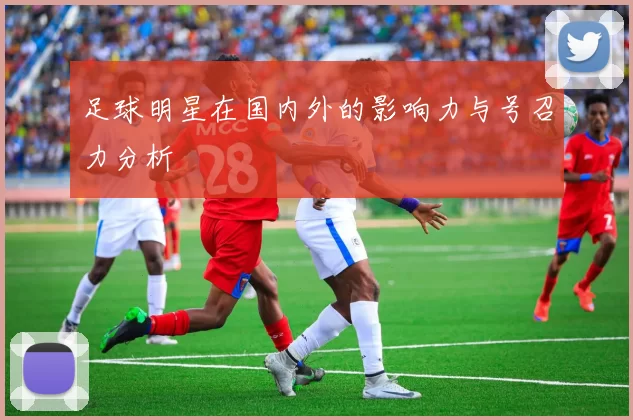 足球明星在国内外的影响力与号召力分析
