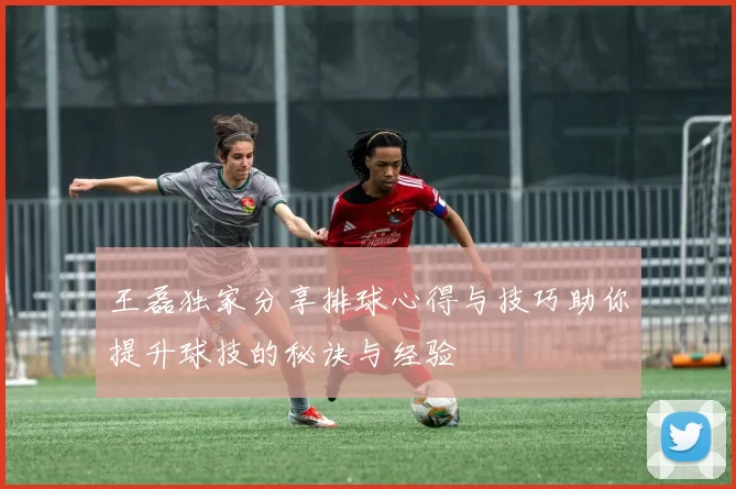 王磊独家分享排球心得与技巧助你提升球技的秘诀与经验