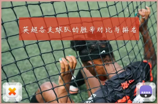 英超各支球队的胜率对比与排名