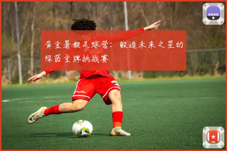 黄金暑假足球营：锻造未来之星的绿茵金牌挑战赛