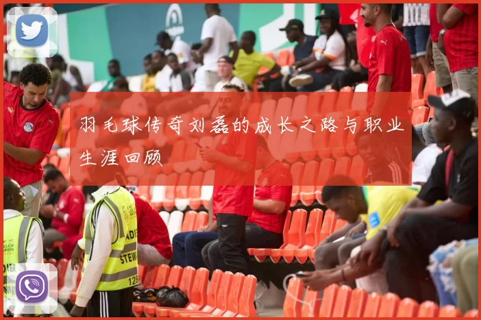 羽毛球传奇刘磊的成长之路与职业生涯回顾