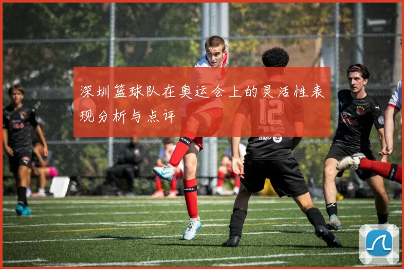 深圳篮球队在奥运会上的灵活性表现分析与点评