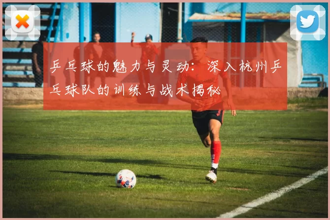 乒乓球的魅力与灵动：深入杭州乒乓球队的训练与战术揭秘