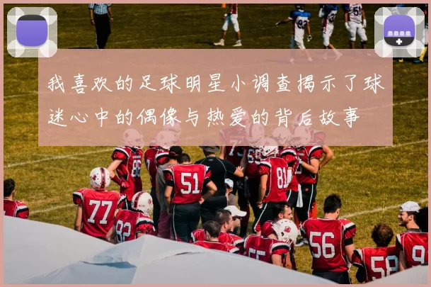 我喜欢的足球明星小调查揭示了球迷心中的偶像与热爱的背后故事
