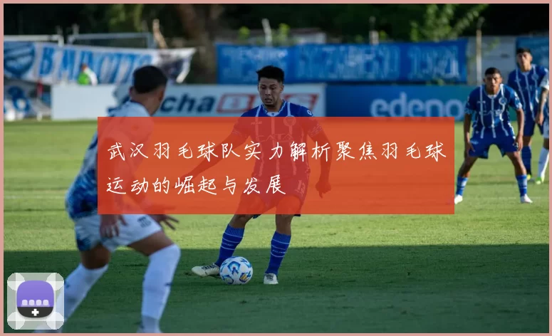 武汉羽毛球队实力解析聚焦羽毛球运动的崛起与发展