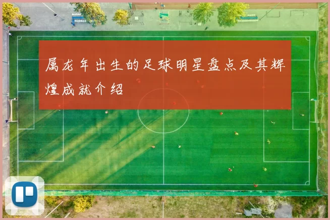 属龙年出生的足球明星盘点及其辉煌成就介绍