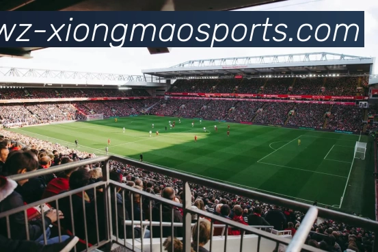 熊猫体育APP 体育赛事宣传图